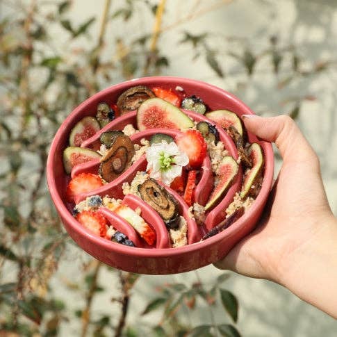 Ceramic Slow Feeder Bowls